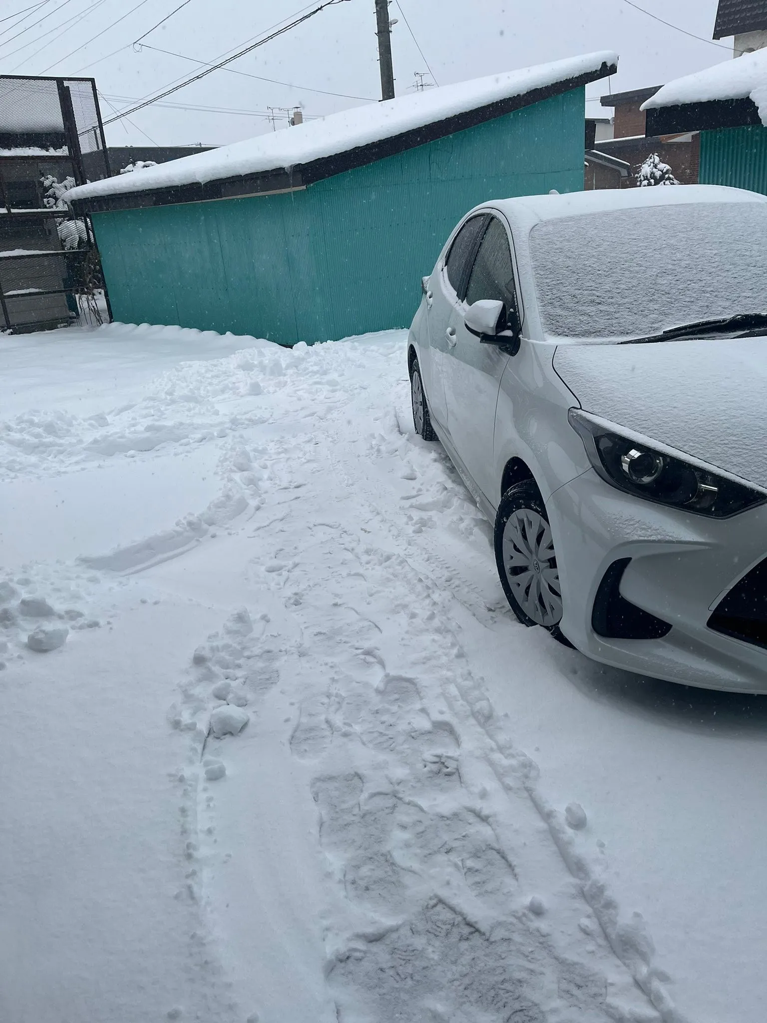 経営コンサルタントの毛利京申です🐄