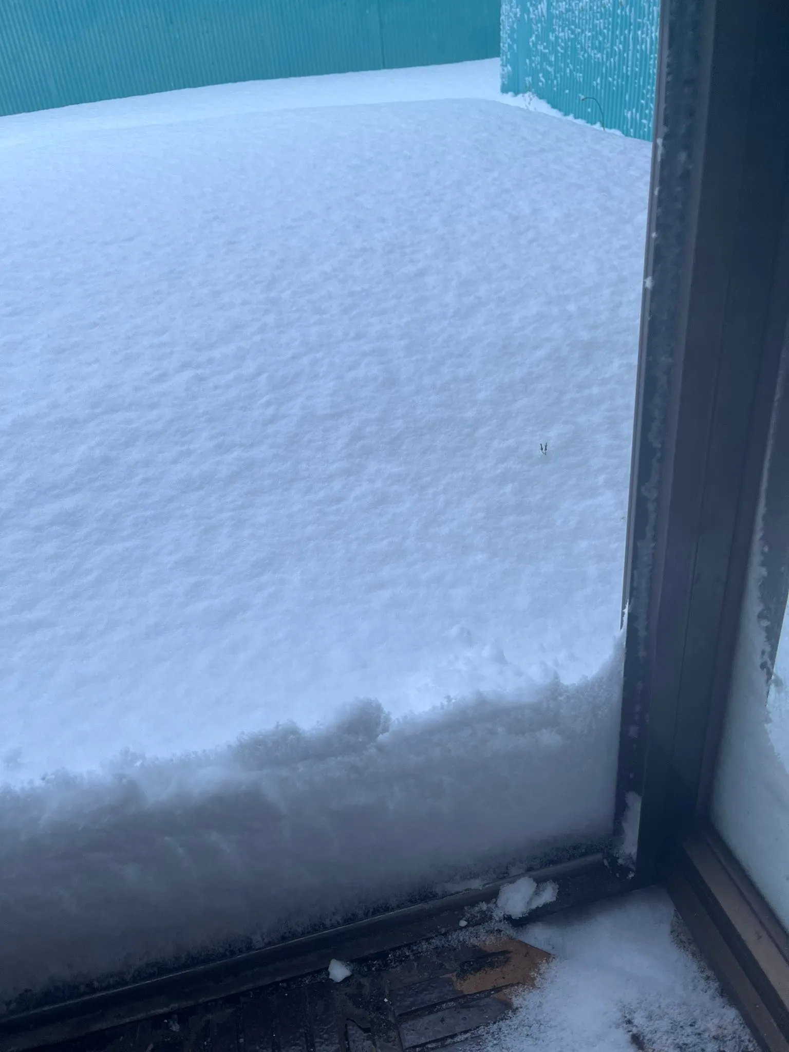 経営コンサルタントの毛利京申🐄です。