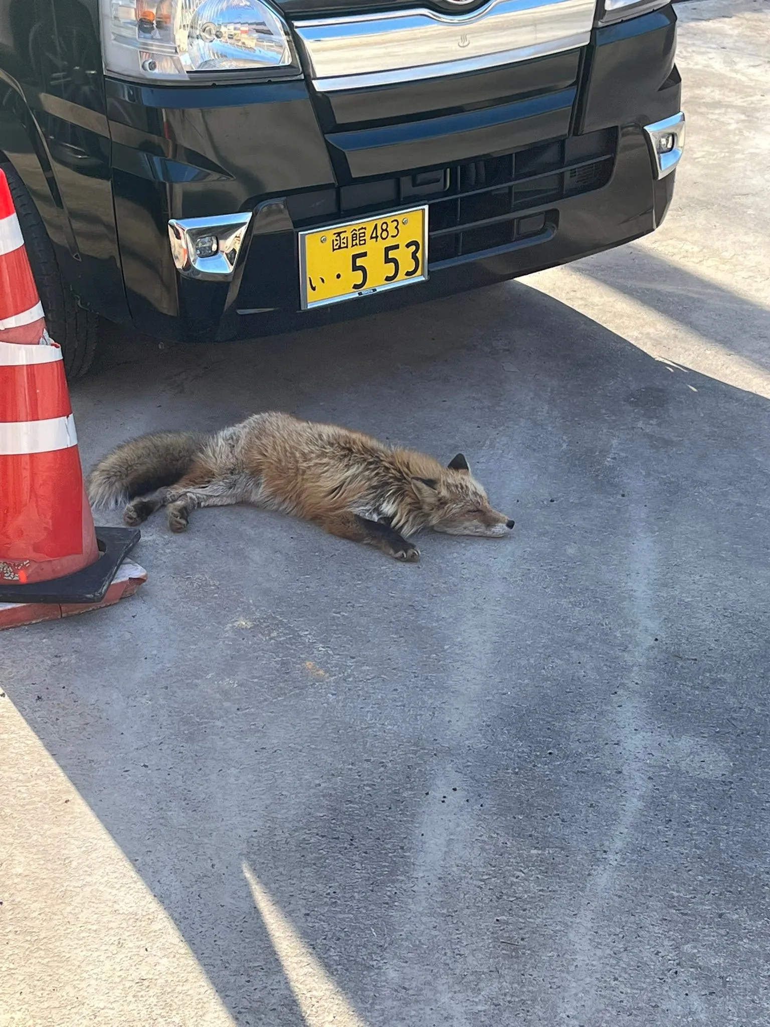 名古屋を拠点に全国で活動する経営コンサルタントのモーちゃんで...