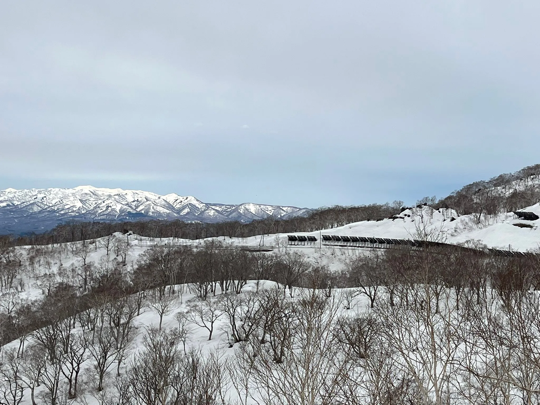 名古屋を拠点に全国で活動する経営コンサルタントのモーちゃんで...