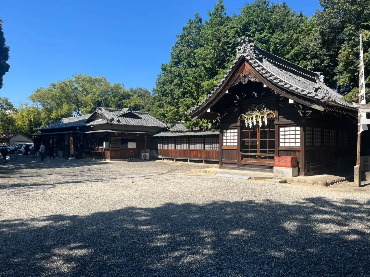 経営コンサルタントモーちゃん・毛利高申です🐮